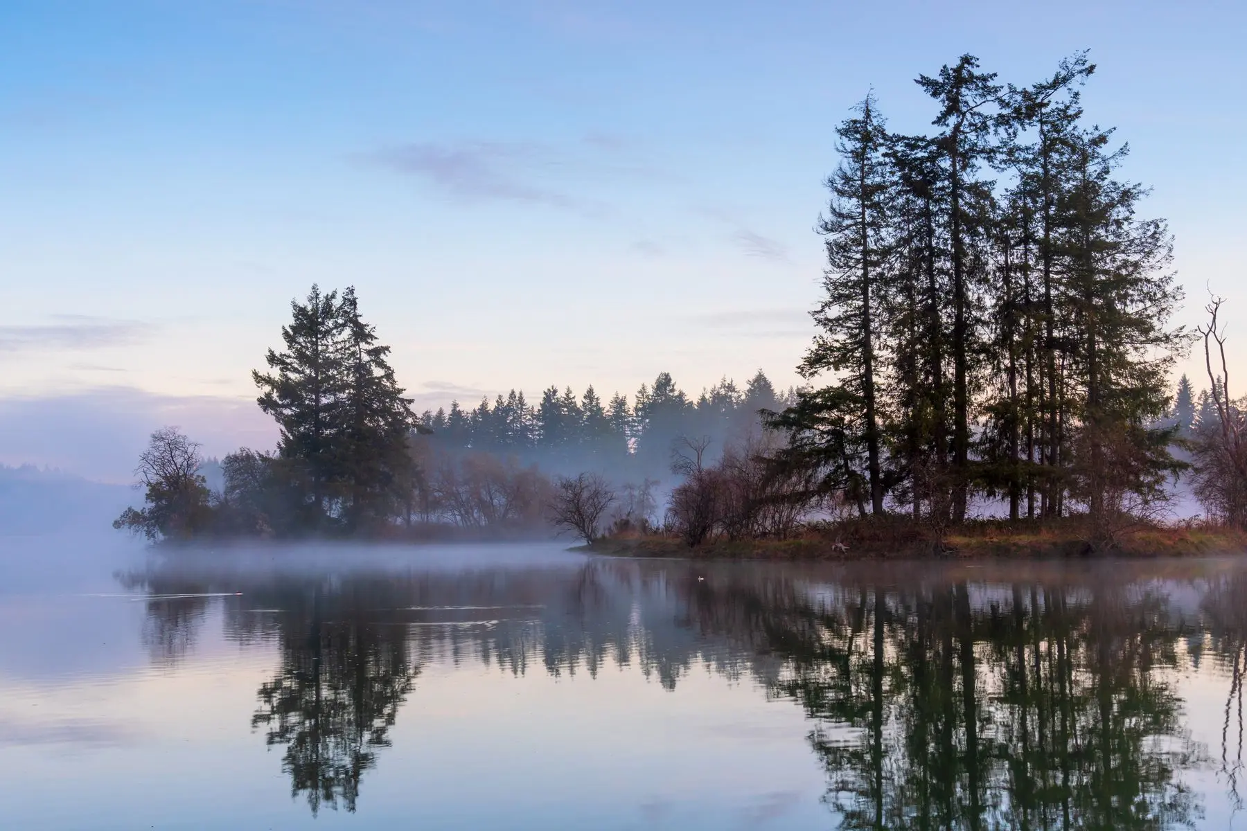 A still lake at dawn in western Washington, mist over the water and conifers reflected.